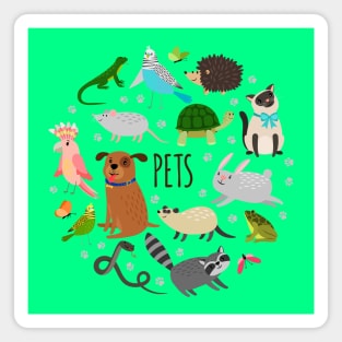 Pets Doodle Concept Magnet